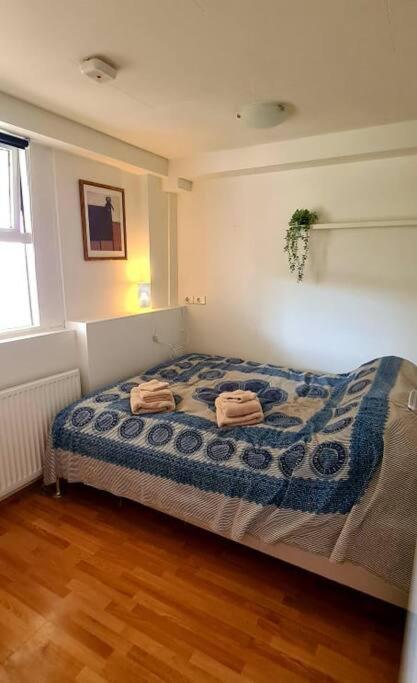 Lovely One Bedroom Apartment In Hafnarfjörður Eksteriør billede